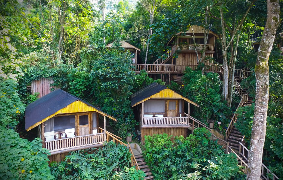 Bwindi Impenetrable National Park